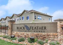 
                                	        Black Feather Apartment Homes
                                    