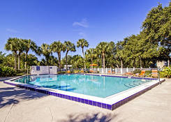 
                                	        Somerset Apartments
                                    